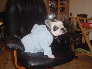 Nestor