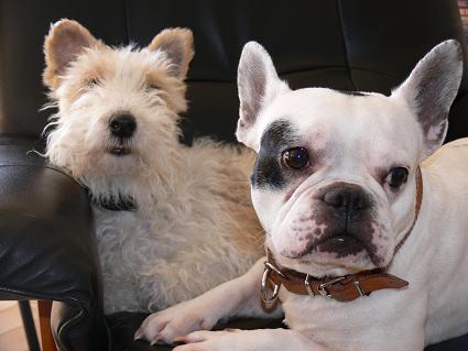 Mailly et Nestor