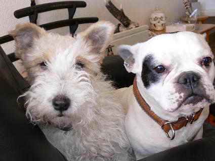 Mailly et Nestor