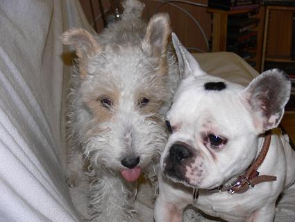 Mailly et Nestor