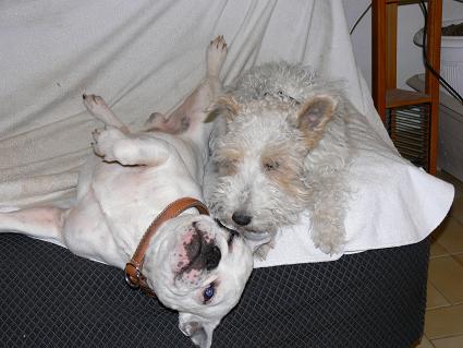 Mailly et Nestor