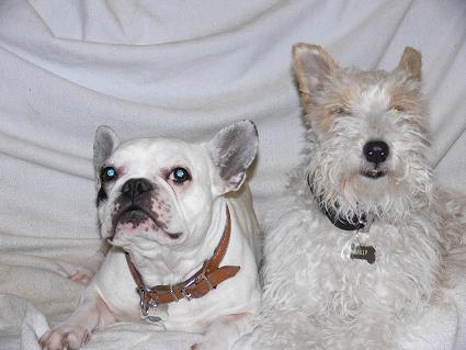 Mailly et Nestor