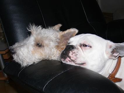 Mailly et Nestor