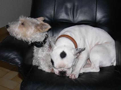 Mailly et Nestor