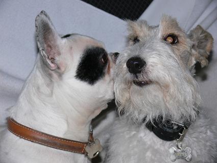 Mailly et Nestor