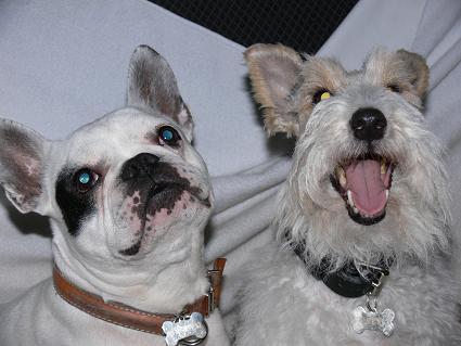 Mailly et Nestor