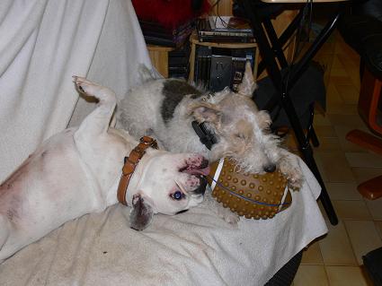Mailly et Nestor