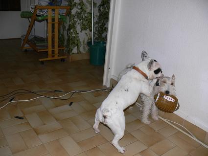 Mailly et Nestor