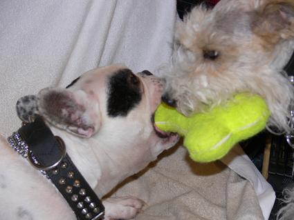 Mailly et Nestor