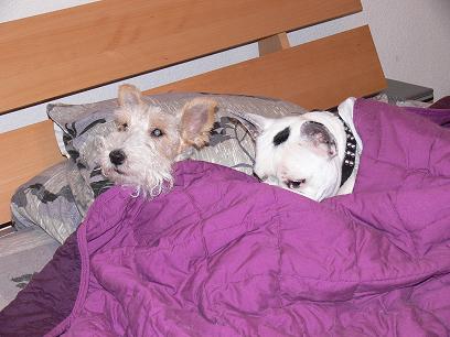 Mailly et Nestor