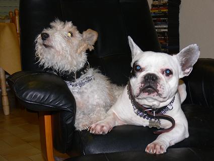 Mailly et Nestor