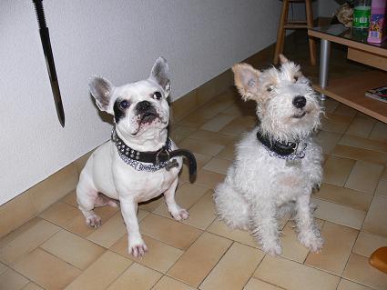Mailly et Nestor