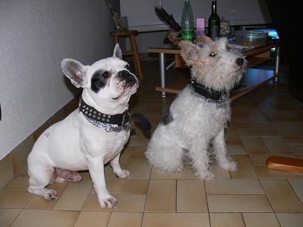 Mailly et Nestor