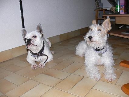 Mailly et Nestor