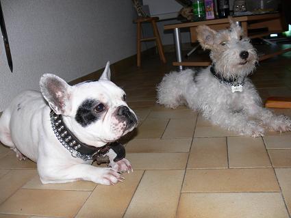 Mailly et Nestor
