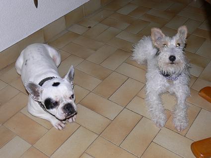 Mailly et Nestor