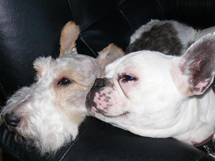 Mailly et Nestor