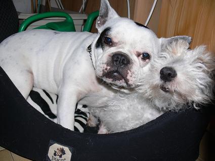 Mailly et Nestor