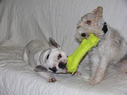 Mailly et Nestor