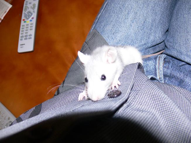 Missy