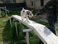 Mailly