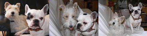 Nestor&Mailly